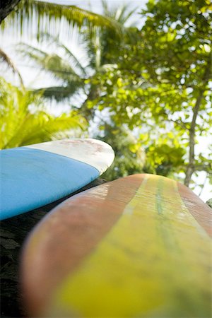 surfboard close up - Close-up of two surfboards Stock Photo - Premium Royalty-Free, Code: 640-01363924