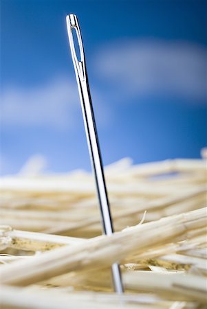 Detailed view of needle in a haystack Stock Photo - Premium Royalty-Free, Code: 640-01458515