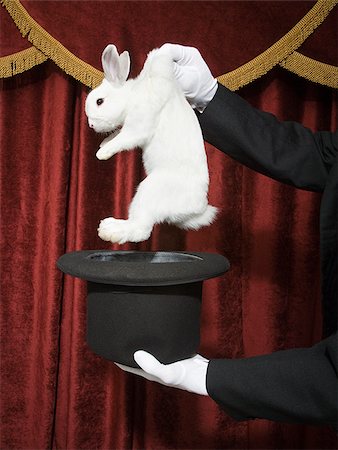 stage show - Pulling a rabbit out of a hat. Stock Photo - Premium Royalty-Free, Code: 640-02656342