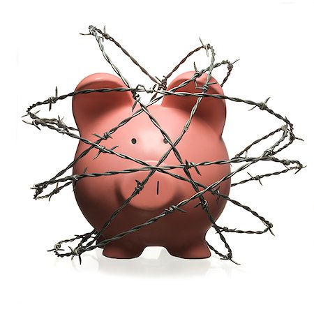 Piggy bank surrounded by barbed wire. Stock Photo - Premium Royalty-Free, Code: 640-02656908