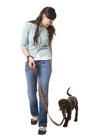 puppy leash images - woman walking dog Stock Photo - Premium Royalty-Free, Code: 640-02658708