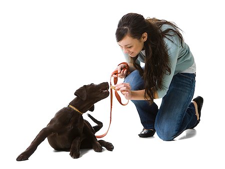 puppy leash images - woman playing with dog Stock Photo - Premium Royalty-Free, Code: 640-02658709