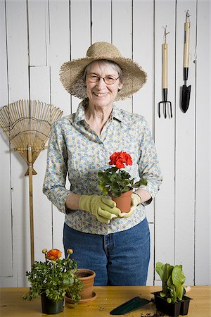 simsearch:640-02768330,k - Portrait of an elderly woman holding a potted plant Stock Photo - Premium Royalty-Free, Code: 640-02764660