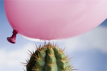 Close-up of a balloon above a cactus Stock Photo - Premium Royalty-Free, Code: 640-02764714
