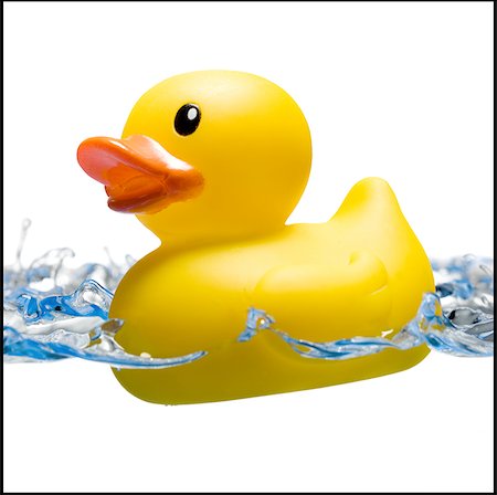 rubber duck - Rubber duck Stock Photo - Premium Royalty-Free, Code: 640-02769479