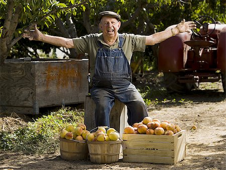 farmer and equipment - Farmer posing with baskets of peaches Stock Photo - Premium Royalty-Free, Code: 640-02770610