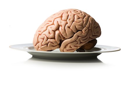 brain on a plate Stock Photo - Premium Royalty-Free, Code: 640-02948410