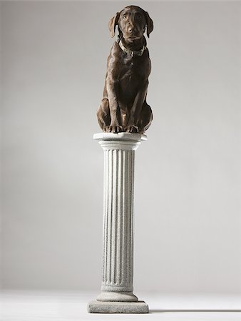 dog on a pedestal Stock Photo - Premium Royalty-Free, Code: 640-02948977