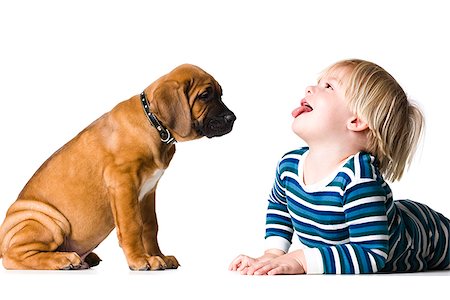 puppy and a boy Stock Photo - Premium Royalty-Free, Code: 640-02949276