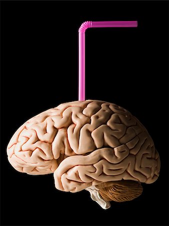 brain with a straw in it Stock Photo - Premium Royalty-Free, Code: 640-02949450