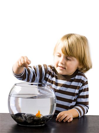 USA, Utah, Provo, Boy (2-3) watching goldfish in bowl Stock Photo - Premium Royalty-Free, Code: 640-03257551