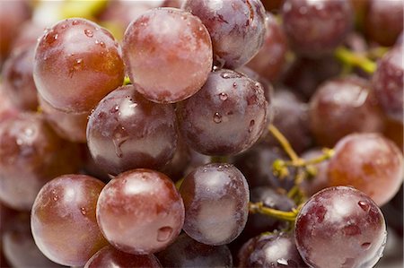 red grape - Close-up of red grapes Stock Photo - Premium Royalty-Free, Code: 640-03258131