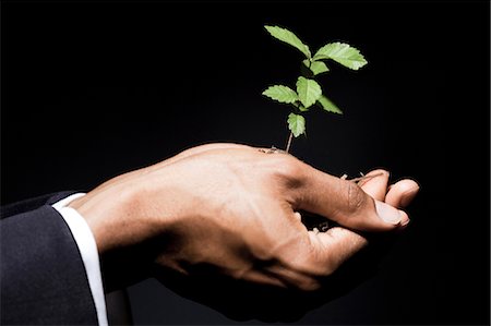 donation - Man with small plant in hands Stock Photo - Premium Royalty-Free, Code: 640-03259961