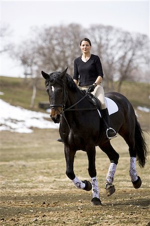saddle - Woman on horseback Stock Photo - Premium Royalty-Free, Code: 640-03265050