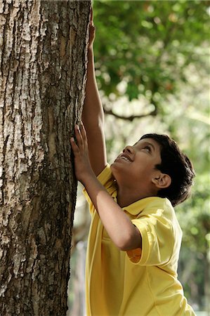 Young boy trying to climb a tree Stock Photo - Premium Royalty-Free, Code: 655-03457974