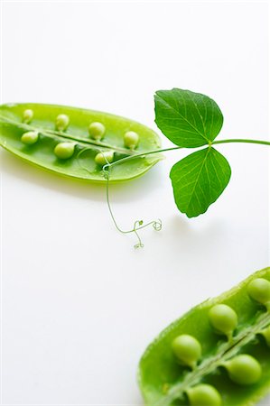 pea - Fresh Peas in the Pod; White Background Stock Photo - Premium Royalty-Free, Code: 659-06154015