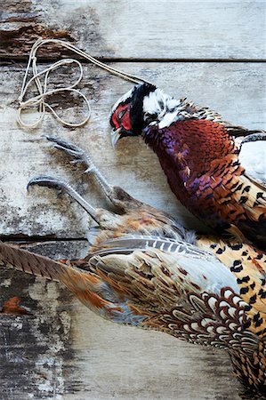 Pair of Dead Pheasants Stock Photo - Premium Royalty-Free, Code: 659-06154019