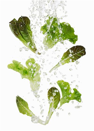 simsearch:659-06154334,k - Lettuce being washed Stock Photo - Premium Royalty-Free, Code: 659-06154356