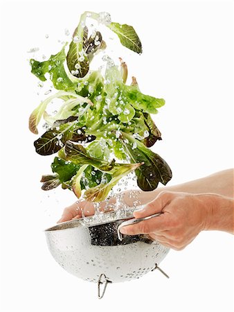 simsearch:659-06154334,k - Lettuce being washed Stock Photo - Premium Royalty-Free, Code: 659-06154358