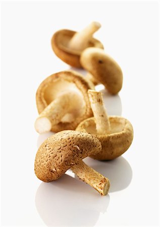 shiitak - Five shiitake mushrooms Stock Photo - Premium Royalty-Free, Code: 659-06154639