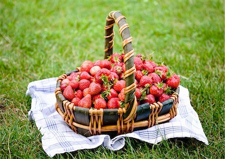 simsearch:659-06186270,k - A basket of freshly picked strawberries in a field Stock Photo - Premium Royalty-Free, Code: 659-06155088