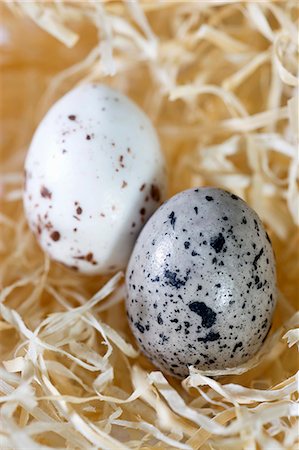 simsearch:659-06151276,k - Two chocolate quail's for Easter Stock Photo - Premium Royalty-Free, Code: 659-06155104