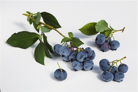 Blueberries with twigs and leaves Stock Photo - Premium Royalty-Free, Code: 659-06155800