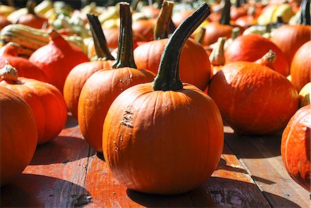 squash (vegetable) - Orange pumpkins Foto de stock - Sin royalties Premium, Código: 659-06155900