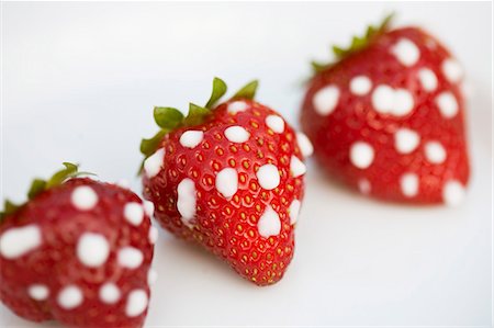 frosted - Strawberries with icing sugar dots Stock Photo - Premium Royalty-Free, Code: 659-06155987