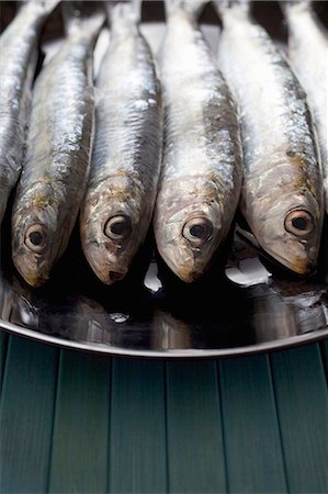 fish plate - A plate of fresh sardines Stock Photo - Premium Royalty-Free, Code: 659-06151569