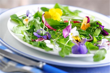 simsearch:659-07597225,k - Rocket salad with edible flowers Stock Photo - Premium Royalty-Free, Code: 659-06151627