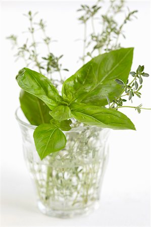 simsearch:659-06306291,k - Basil and thyme in a glass of water Stock Photo - Premium Royalty-Free, Code: 659-06151748