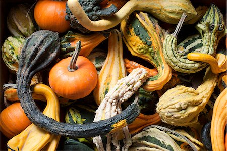 Various Gourds From Farmer's Market in New Jersey Stock Photo - Premium Royalty-Free, Code: 659-06151825