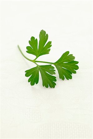 parsley - Flat-leaf parsley Stock Photo - Premium Royalty-Free, Code: 659-06151928