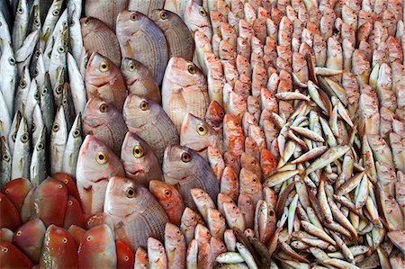 simsearch:659-06187957,k - Beaucoup de différents poissons de Méditerranée Photographie de stock - Premium Libres de Droits, Code: 659-06152024