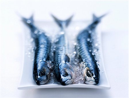 fish plate - Three mackerels on a plate with crushed ice Stock Photo - Premium Royalty-Free, Code: 659-06152116
