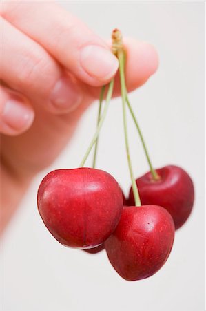 simsearch:659-07597339,k - A hand holding cherries Stock Photo - Premium Royalty-Free, Code: 659-06152895
