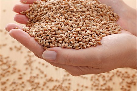 Hands holding grains of wheat Stock Photo - Premium Royalty-Free, Code: 659-06153366