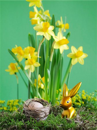 daffodil flower - Gold Easter Bunny in front of narcissi Stock Photo - Premium Royalty-Free, Code: 659-06185131