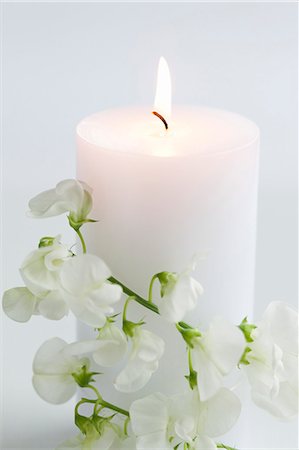 Burning white candle with sweet peas Stock Photo - Premium Royalty-Free, Code: 659-06185293