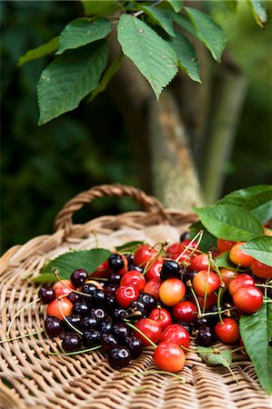 simsearch:659-07597339,k - Various types of cherries with leaves in basket Stock Photo - Premium Royalty-Free, Code: 659-06185407