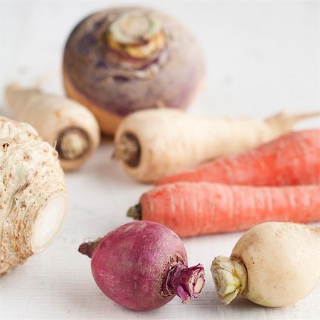 simsearch:659-07610418,k - Root Vegetables; Turnip, Parsnips, Celeriac, Carrots and Rutabaga from the Portland Maine Farmers Market Stock Photo - Premium Royalty-Free, Code: 659-06185935