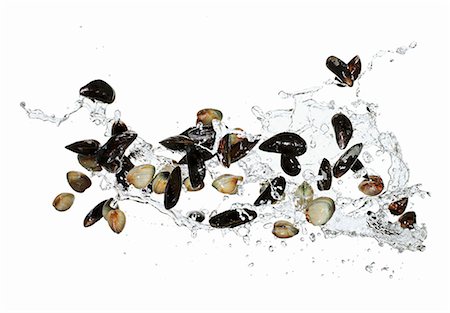 seafood - Mussels with water splash Stock Photo - Premium Royalty-Free, Code: 659-06187667