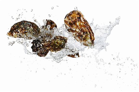 simsearch:659-03535097,k - Fresh oysters with a water splash Foto de stock - Sin royalties Premium, Código: 659-06187661