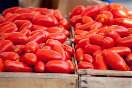 Lots of tomatoes in wooden crates Stock Photo - Premium Royalty-Free, Code: 659-06188023