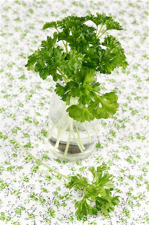 parsley - Fresh parsley in a glass of water Stock Photo - Premium Royalty-Free, Code: 659-06307120