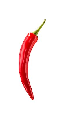 pepper (vegetable) - A red chilli Stock Photo - Premium Royalty-Free, Code: 659-06372674