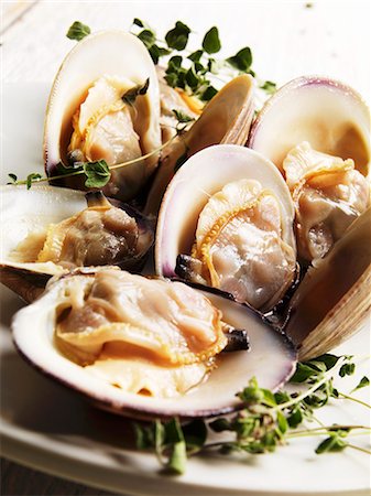 Steamed Middle Neck Clams with Sprigs of Fresh Oregano Stock Photo - Premium Royalty-Free, Code: 659-06373399
