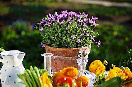 setting table - Fresh vegetables and flowers on a summery table outside Stock Photo - Premium Royalty-Free, Code: 659-06493730