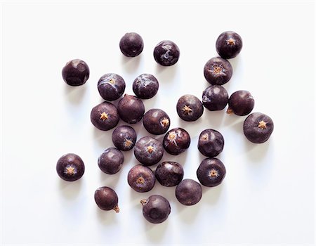 Juniper berries Foto de stock - Sin royalties Premium, Código: 659-06493776
